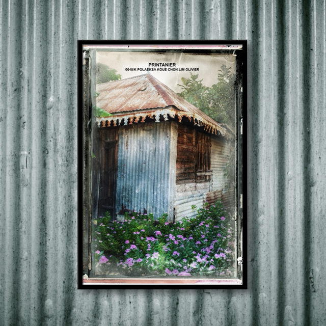 NOUVELLE SÉRIE POLAÉKSA 0048 PRINTANIER 