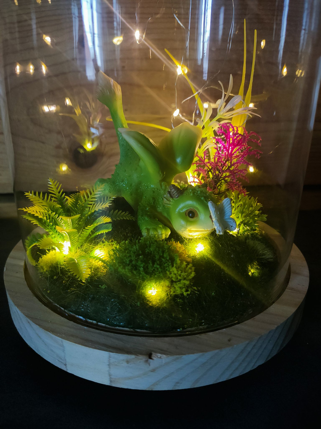 Siméon chasseur de papillons