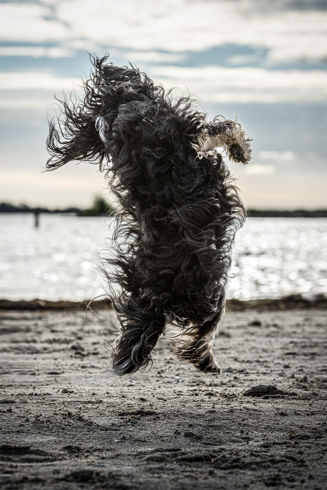 Portretshoot op locatie TOP