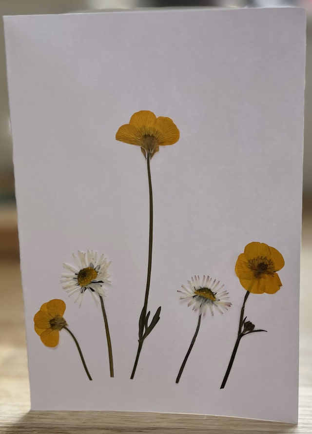 Buttercups and Daisies Greeting Card 03