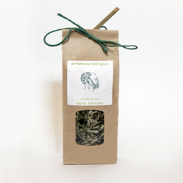 foglie di artemisia vulgaris