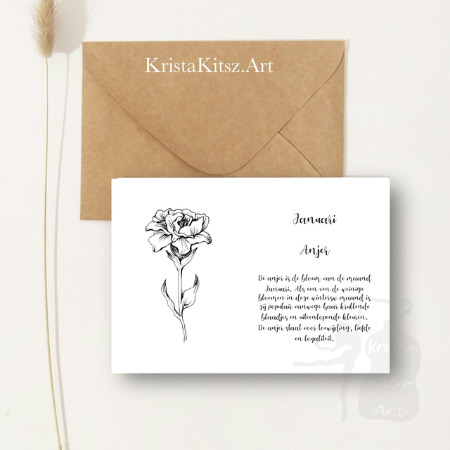 Ansichtkaart Anjer Januari met tekst | inclusief envelop of postkaart | zwart wit tekening illustratie 