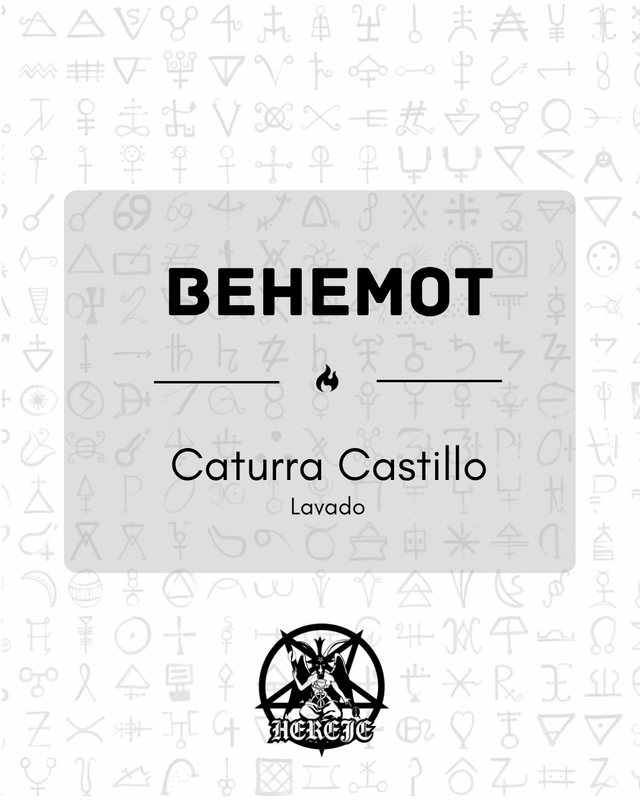 Behemot - Caturra Castillo - Lavado - 250g