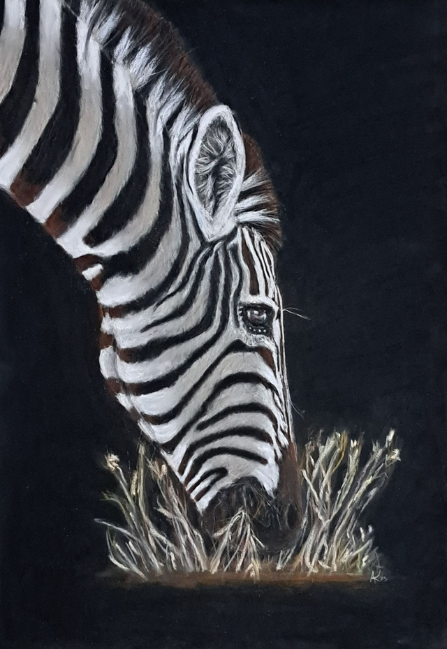 A Family of Contrasts Original Pastel on Pastelmat.  35x50cm. 