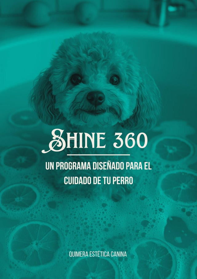 ⭐Shine 360⭐