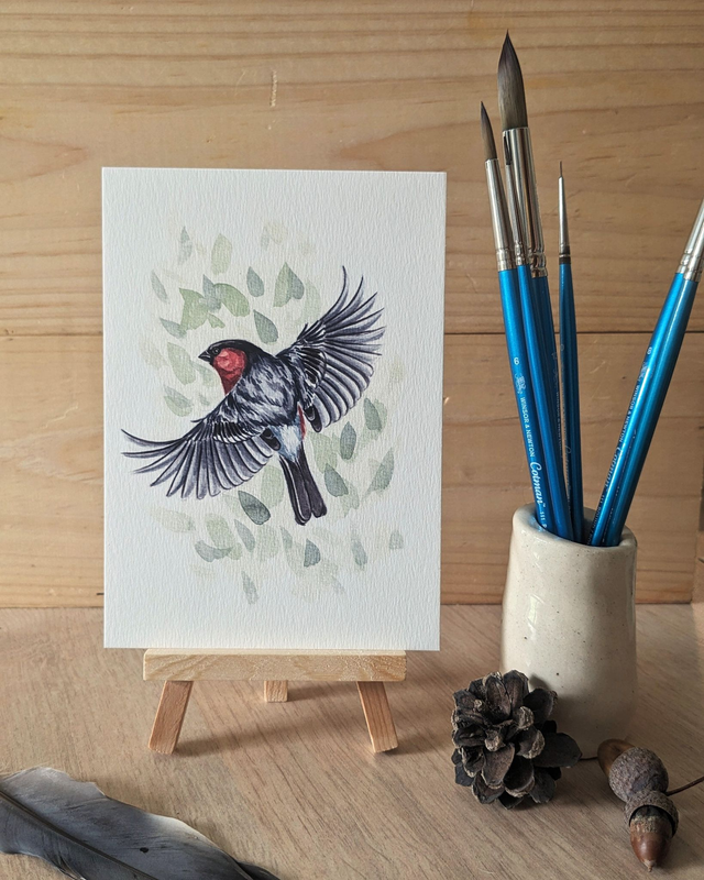 Le Bouvreuil pivoine - carte A6