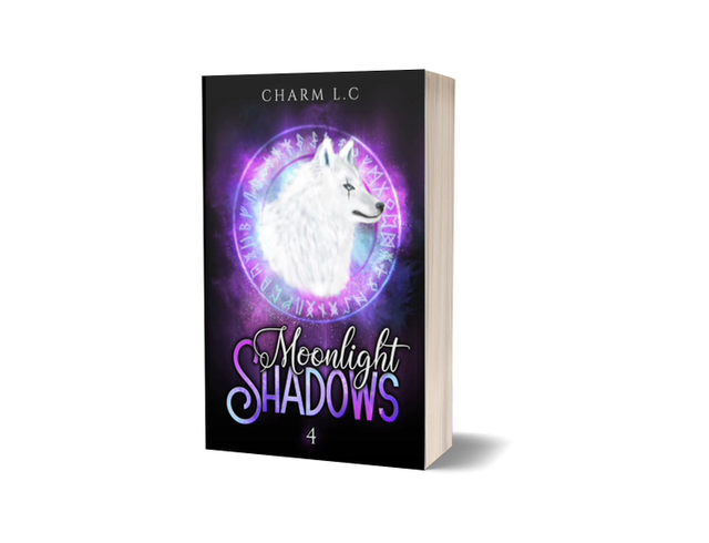 BROCHÉ MOONLIGHT SHADOWS T4