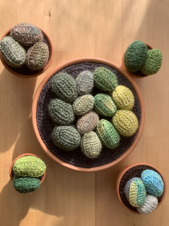 Cactus Lithops