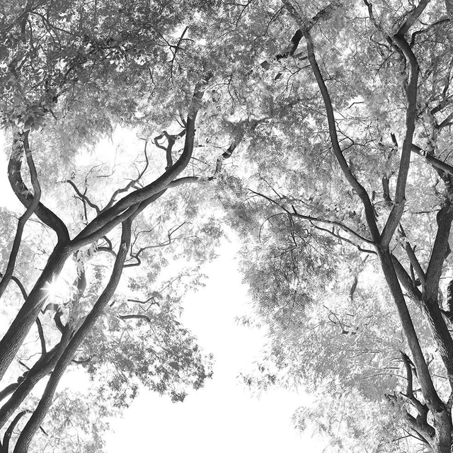 La cour des grands 4