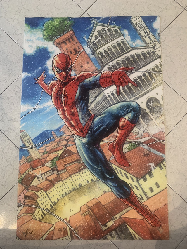 Stampa su tela Spiderman a Lucca