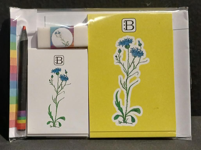 Leggi &amp; Colora - Kit Scrittura - I Fiori di Catia n. 1 - Fiordaliso