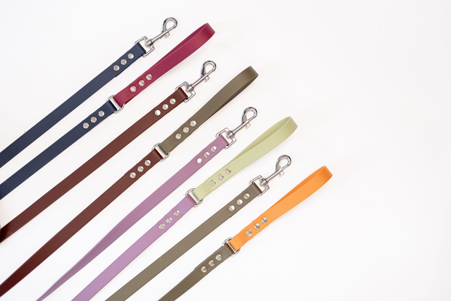Laisse bicolore 1m50 en Biothane® (personnalisation de la couleur)