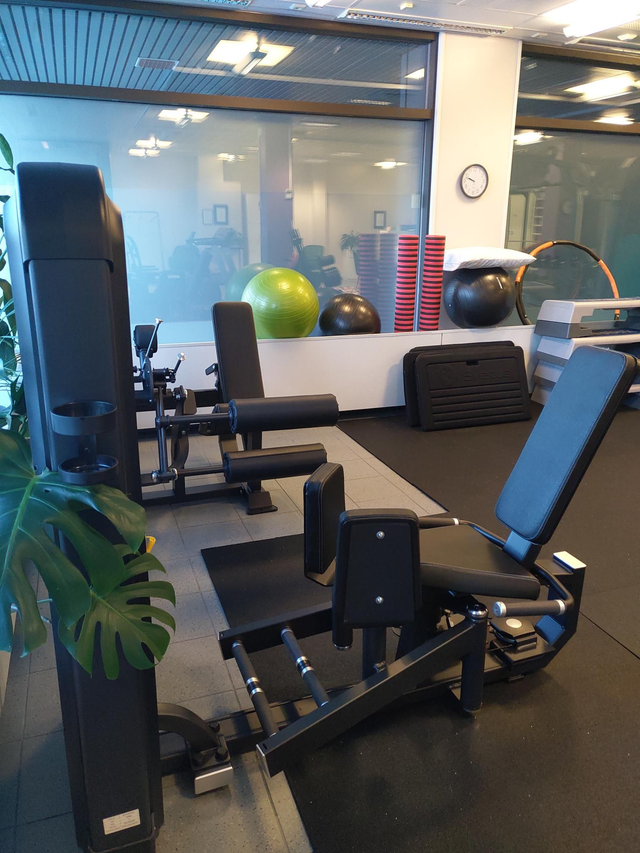 Saliharjoittelun ohjaus