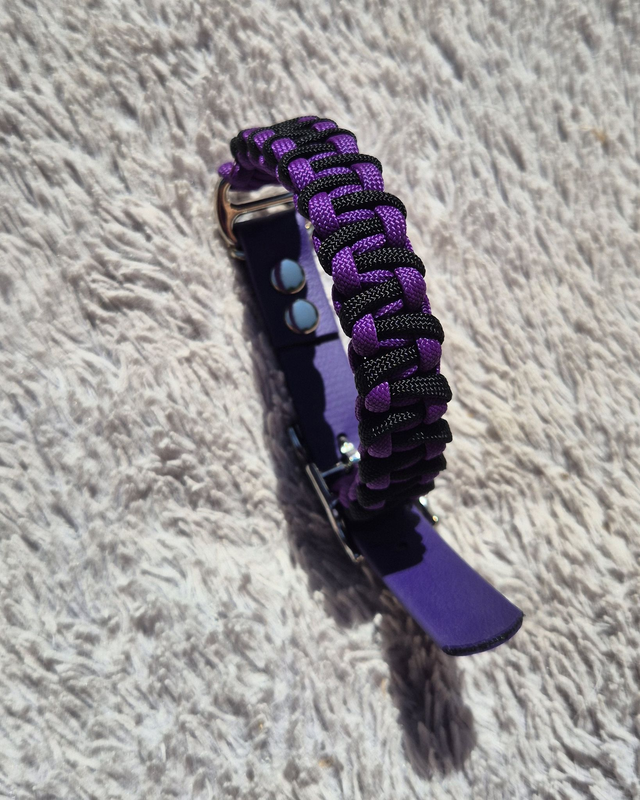 Collier biothane - Taille S