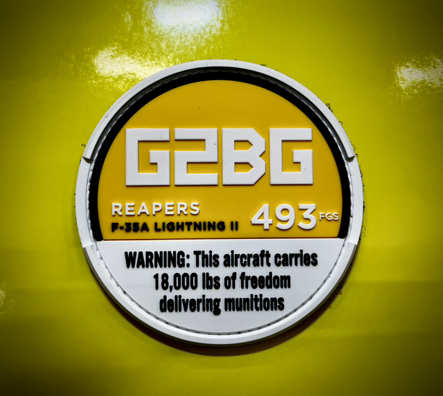 493 FGS G2BG ZYN 2.0