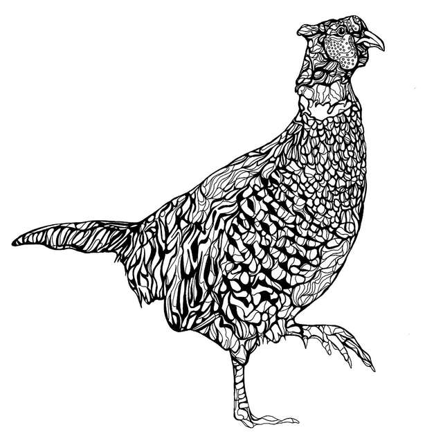 B&W A3 print - pheasant