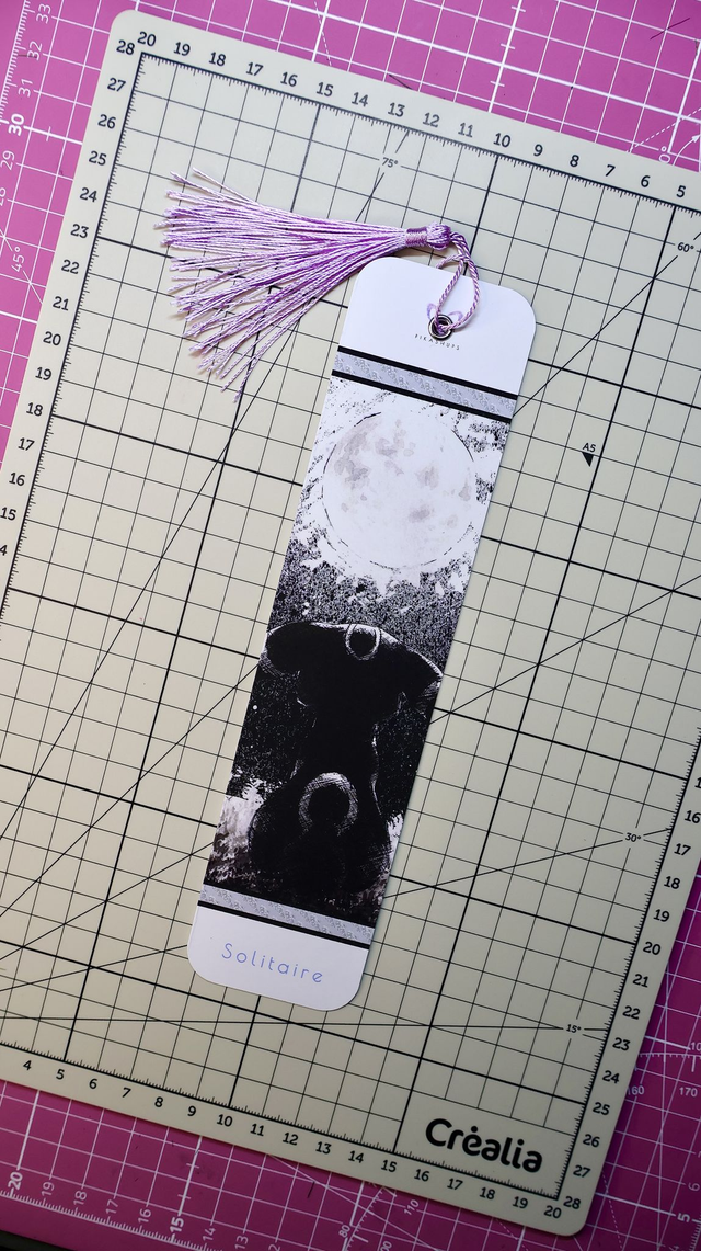 NOCTALI • SÉRIE POKEMON