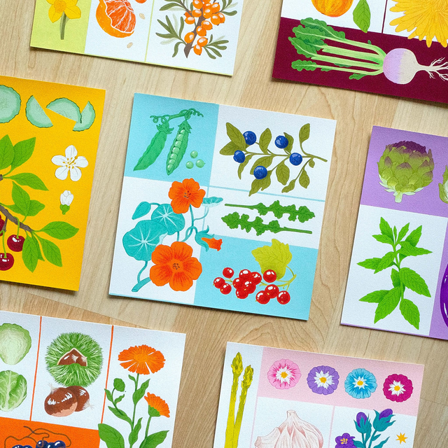 Illustrations du calendrier 2024