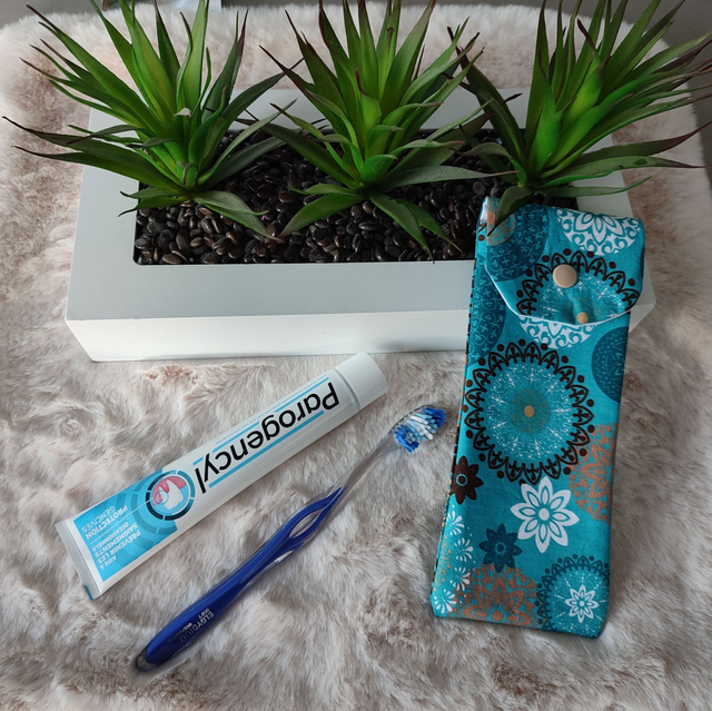 étui de voyage pour brosse à dents et dentifrice (1)