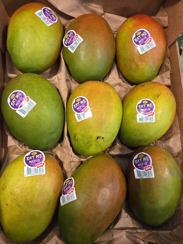 Mango
