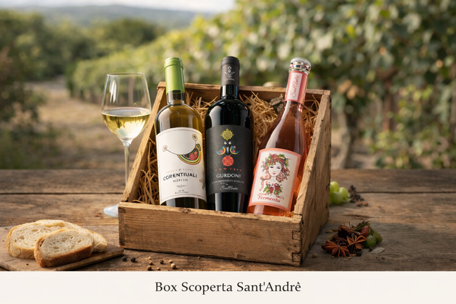 Box Scoperta Sant'Andrè
