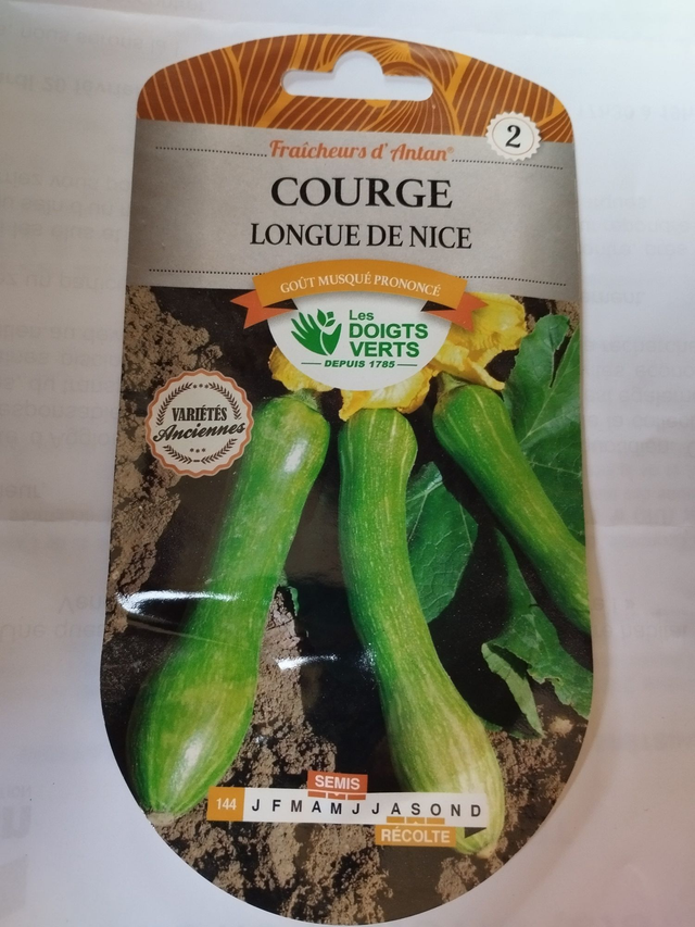 Courge longue de Nice