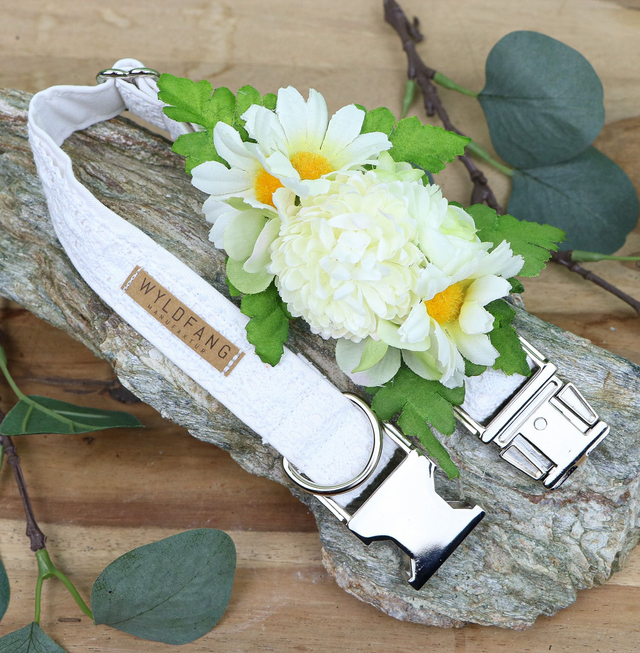 Hochzeits-Hundehalsband mit Spitze und abnehmbarer Blütenapplikation mit Margeriten