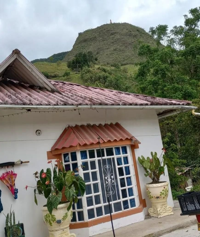 15 jours Voayange  à les plantation de café à Colombie,.