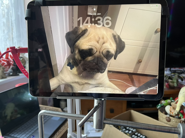 Device Holder - Lowery