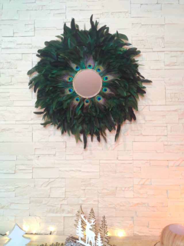 Jujuhat Plumes de paon et Plumes de coq