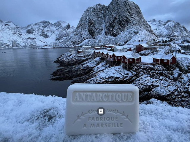 Savonnette Marseillaisee Antarctique 125 g