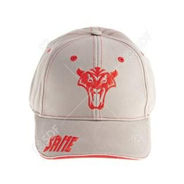 Casquette brodé Same grise S016