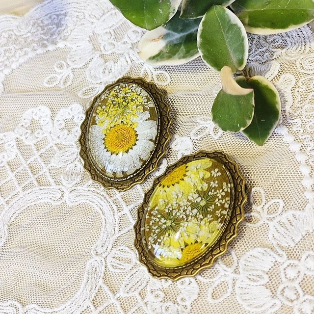 Daisy Broach
