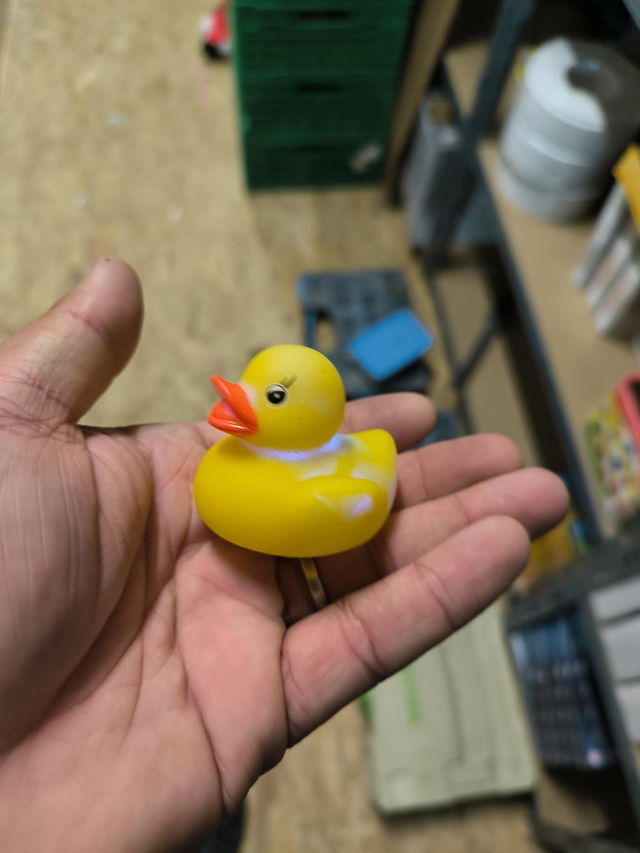 CANARD DE BAIN LUMINEUX 