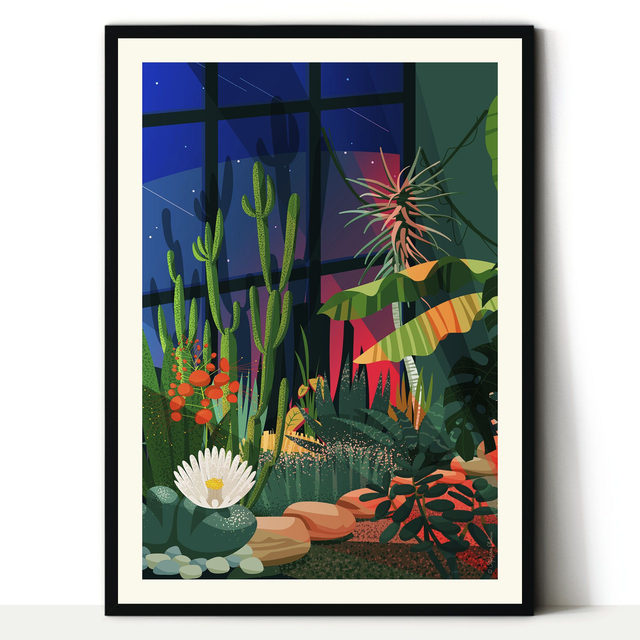 Cactées &amp; succulentes