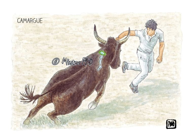 Course camarguaise Saintes-Maries-de-la-Mer