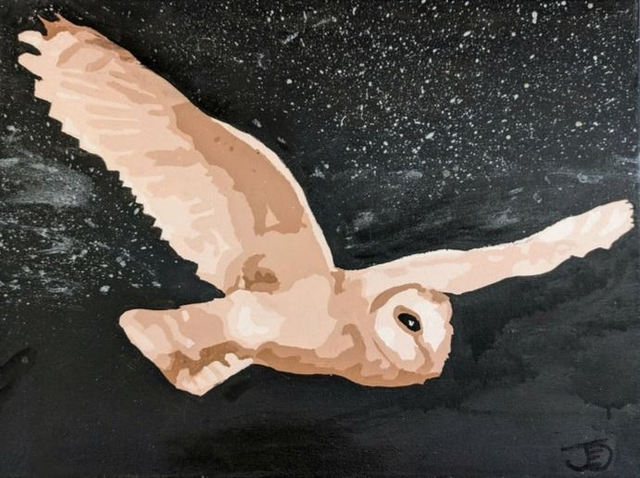 Barn Owl In Flight