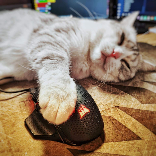 Votre site internet a partir de 40€