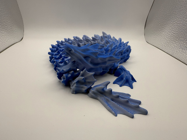 Ocean Dragon 1 Colour