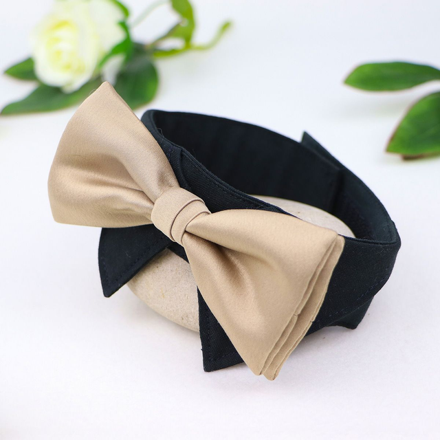 Hochzeits-Hundehalsband mit Fliege, auch für Ringträger geeignet, mit Klett- oder Klickverschluss, schwarz-gold