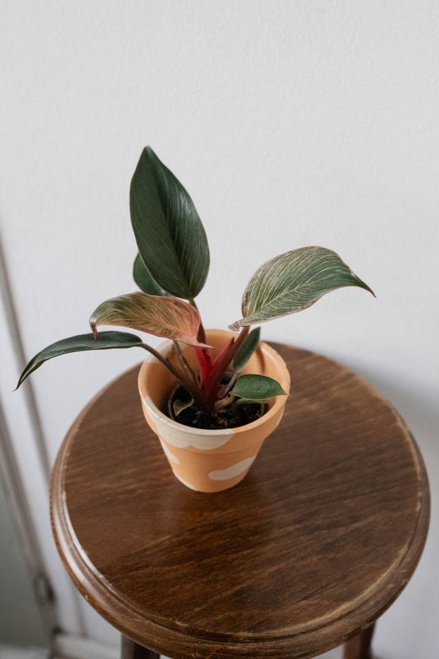 Pot handmade 'Vitamin Sky' 🧩 Mix & Match