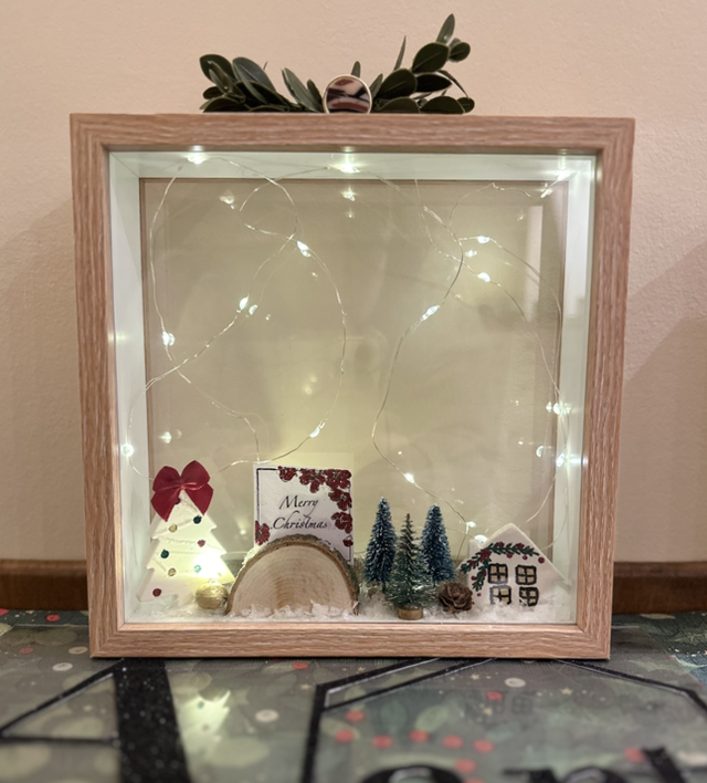 CHRISTMAS APRICOT SHADOW BOX