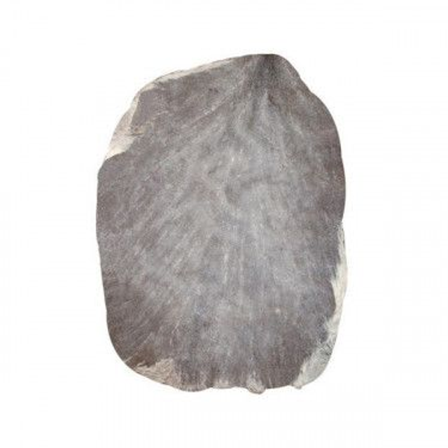 40_Peau de chèvre rasée