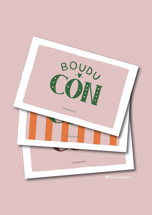 Boudu con - collection Sud Ouest 🌞