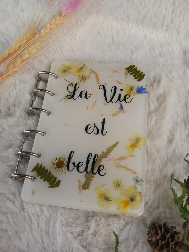 Carnet la vie est belle