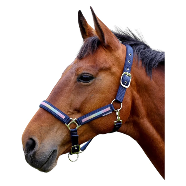 HY Mystic Head Collar NAVY/RAINBOW