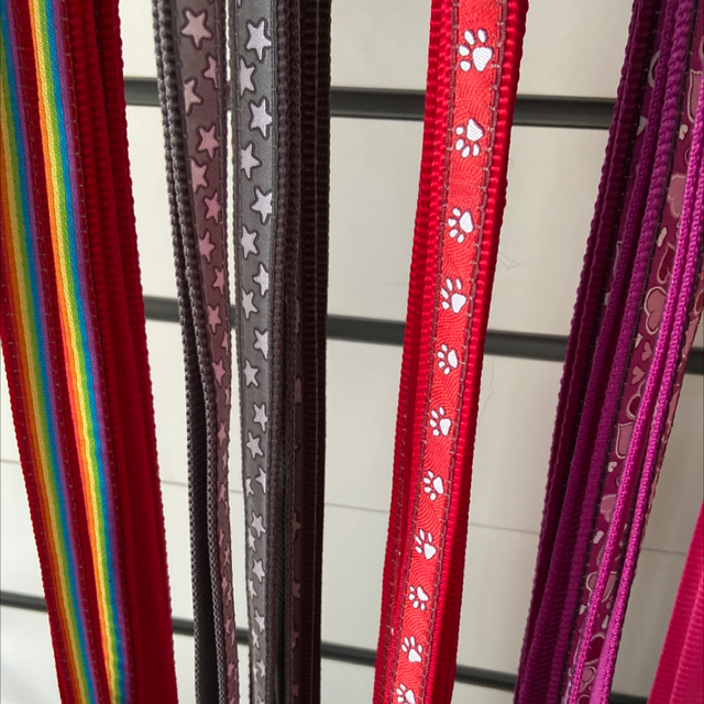 RedDingo Patterned Leash - Large