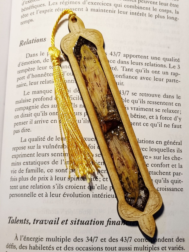 Marque-Grimoire #15 Tournesol, marjolaine et badiane