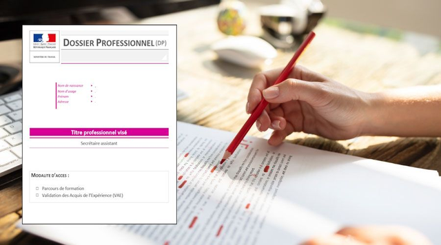 Correction du dossier professionnel FPA