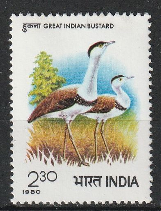 India 1980 Birds,Great Bustard MNH